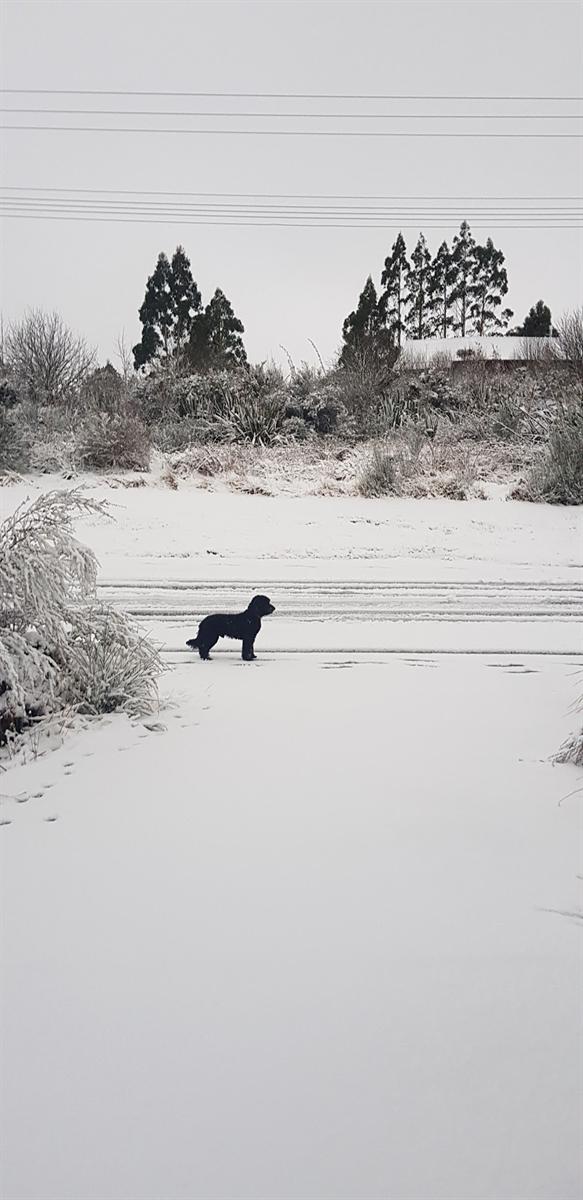 Crew, in the snow