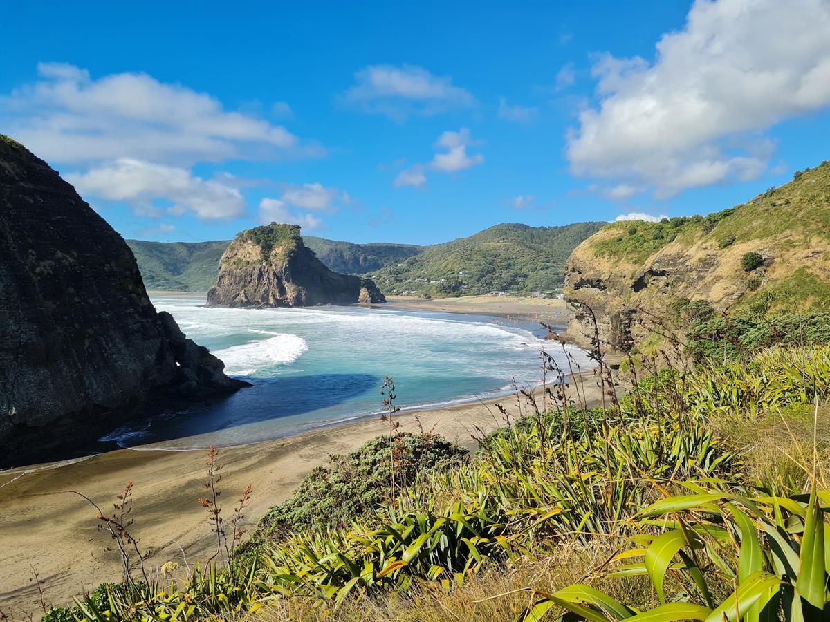 Piha from the Gap