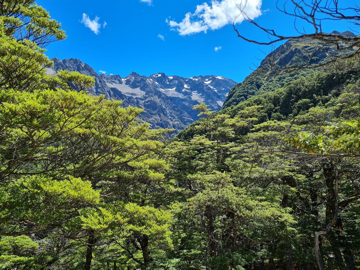 Ahuriri Valley